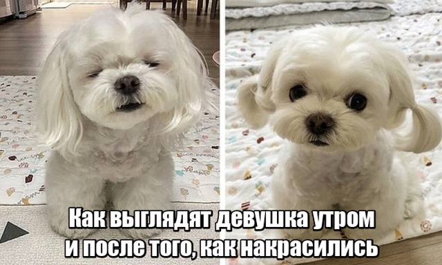 Девушки - магнит для неловких ситуаций