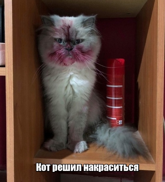 Девушки - магнит для неловких ситуаций