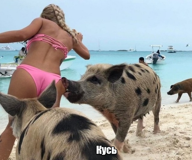 Девушки - магнит для неловких ситуаций