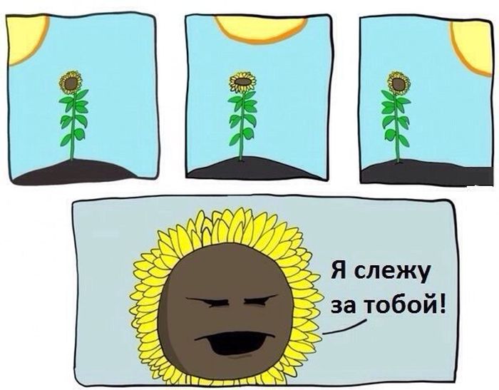 Комиксы