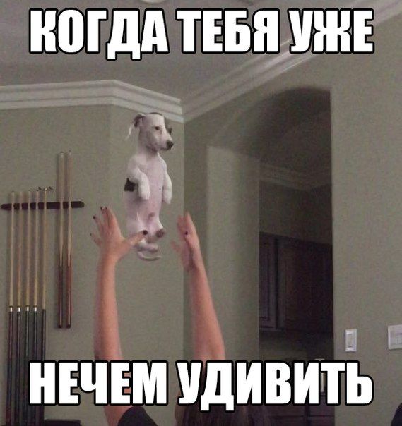 Порция картинок