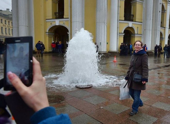 Прикольные картинки