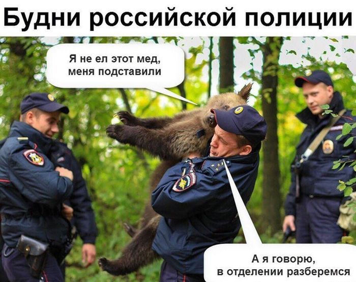 Прикольные картинки