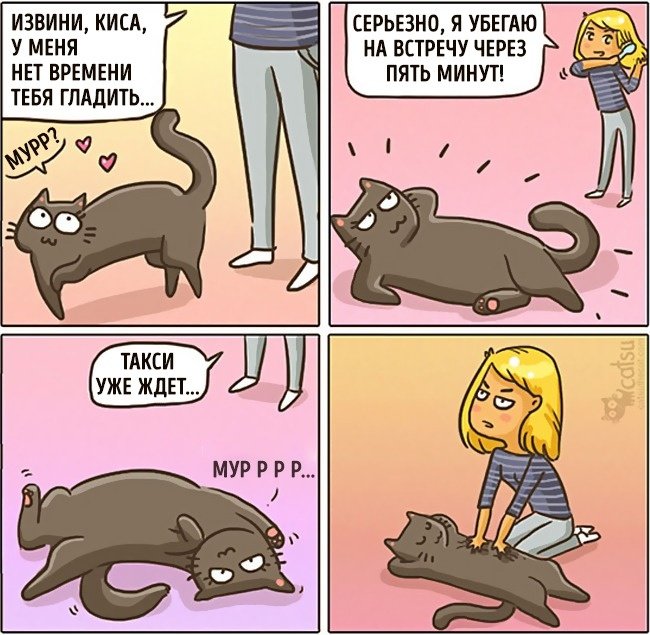 Забавные комиксы про жизнь с кошкой