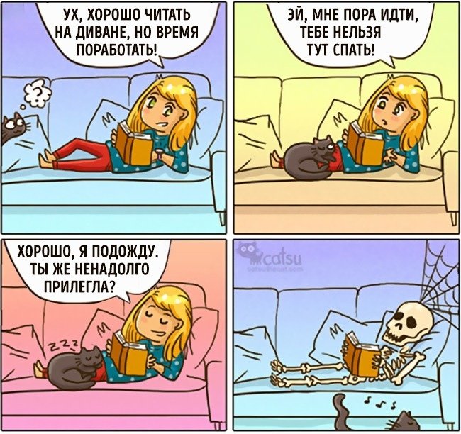 Забавные комиксы про жизнь с кошкой