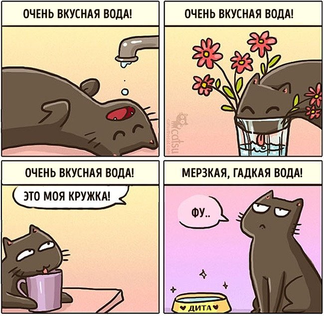 Забавные комиксы про жизнь с кошкой