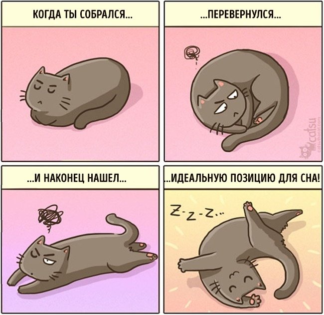 Забавные комиксы про жизнь с кошкой