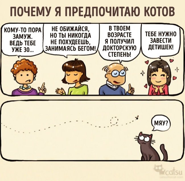 Забавные комиксы про жизнь с кошкой