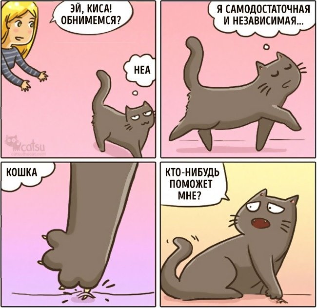 Забавные комиксы про жизнь с кошкой