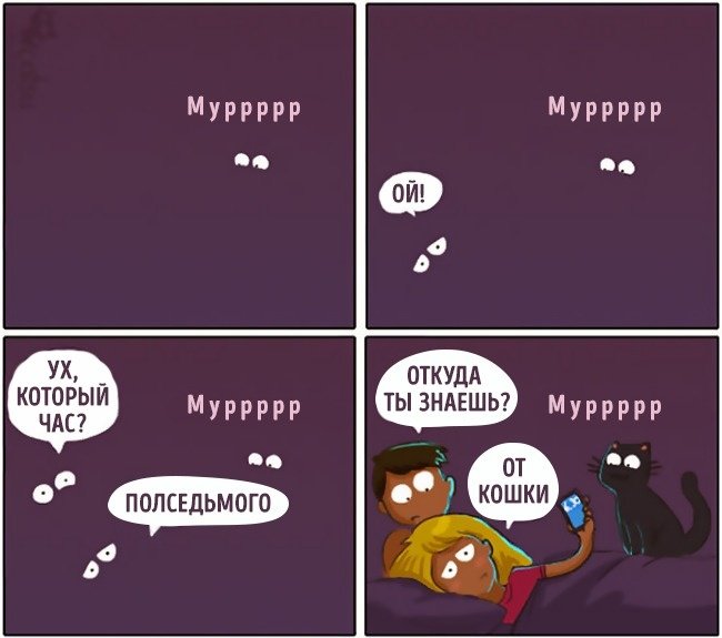 Забавные комиксы про жизнь с кошкой