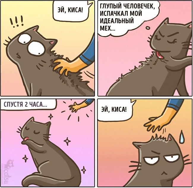 Забавные комиксы про жизнь с кошкой
