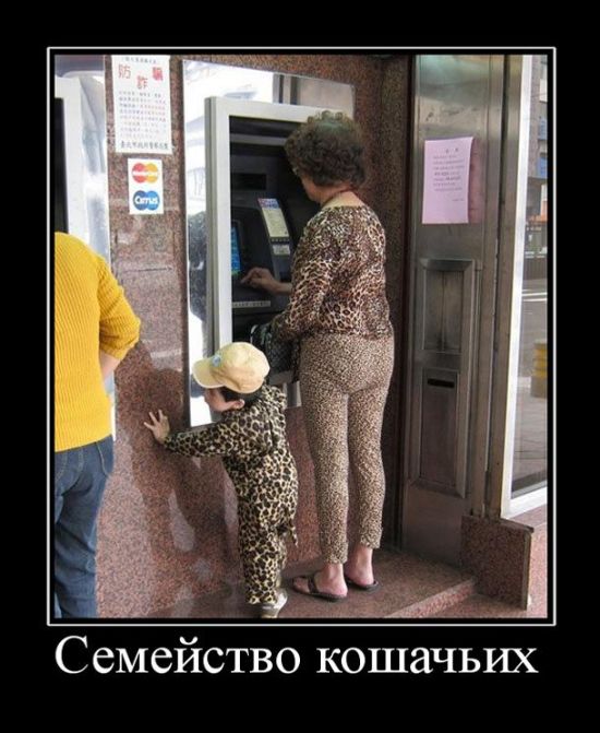 Демотиваторы