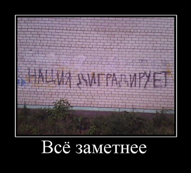 Демотиваторы
