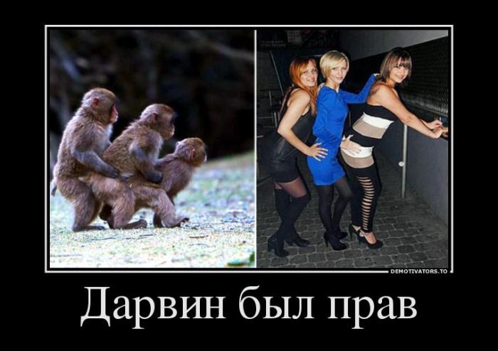 Демотиваторы
