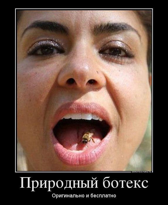 Демотиваторы