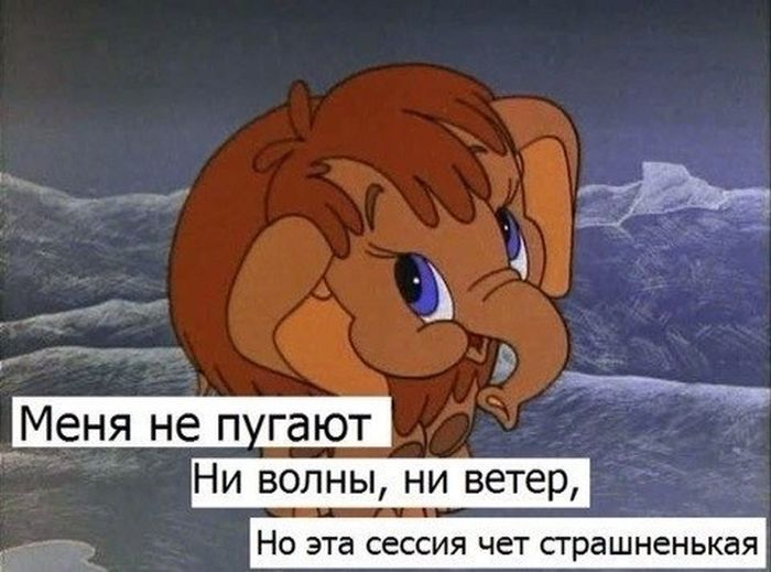 Прикольные картинки (81 фото)