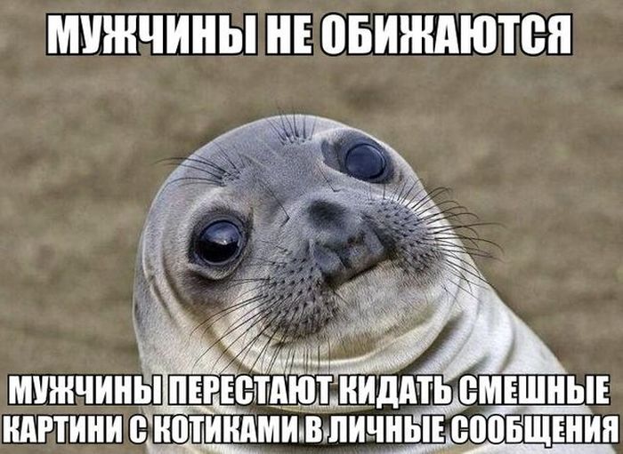Прикольные картинки (81 фото)