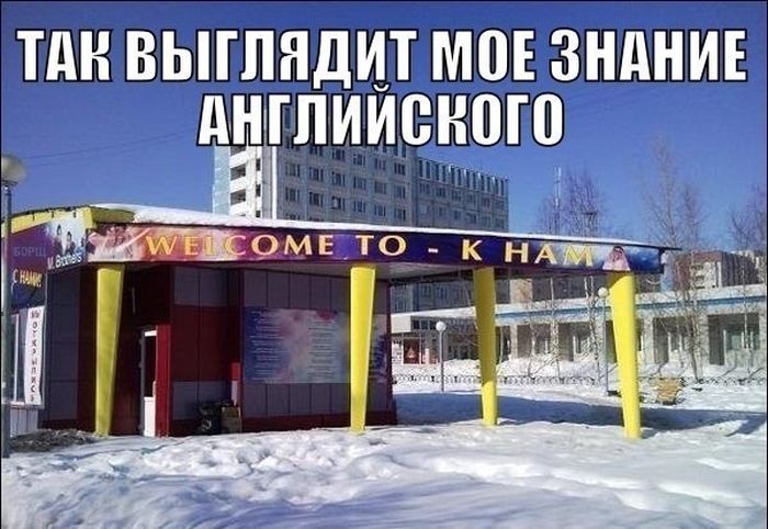 Прикольные картинки (81 фото)
