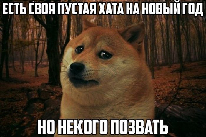 Прикольные картинки (81 фото)