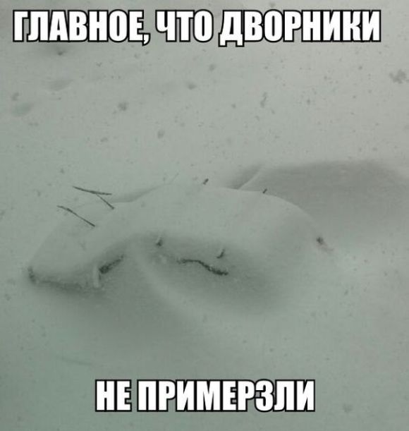 Прикольные картинки (81 фото)