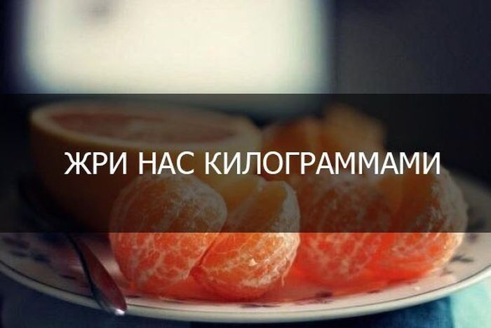 Прикольные картинки (81 фото)