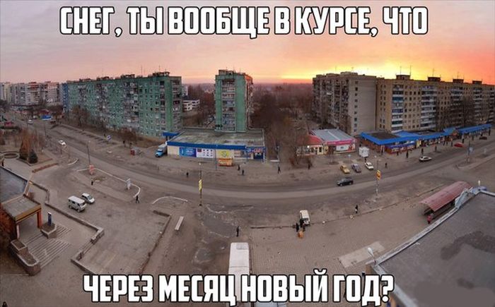 Прикольные картинки (81 фото)