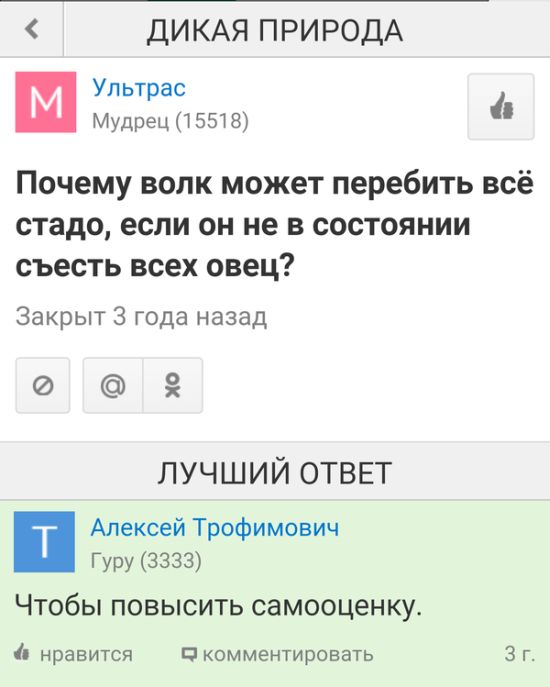 Порция картинок