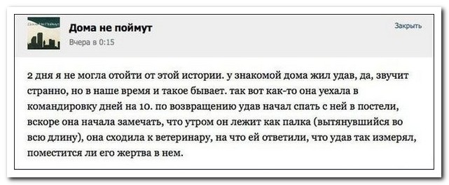 Смешные комментарии из социальных сетей