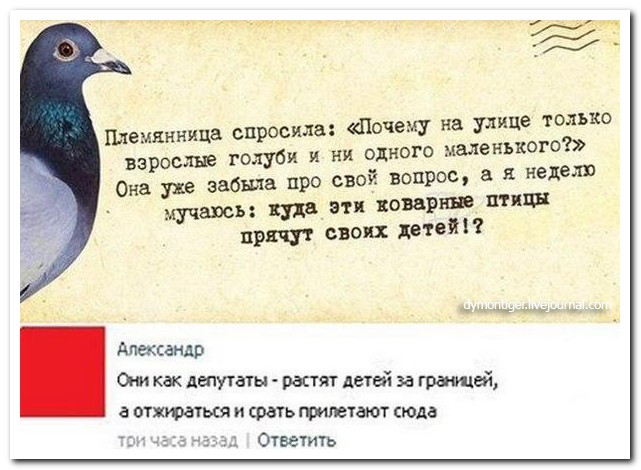 Смешные комментарии из социальных сетей