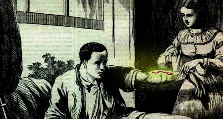 Ядовитые цветочки, женщина-биооружие и ангельское сияние бактерий или несколько забавных случаев, когда природа отвесила звонкую пощечину мистике