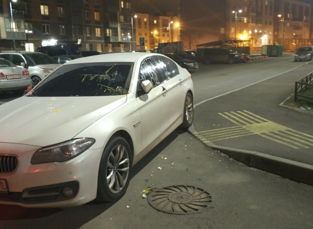 Уровень парковки - царь на BMW