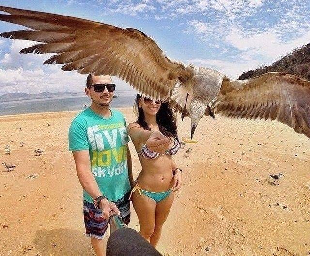 Яркие фотографии вместо тысячи слов Яркие фотографии вместо тысячи слов