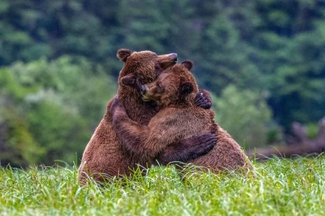 Яркие фотографии вместо тысячи слов