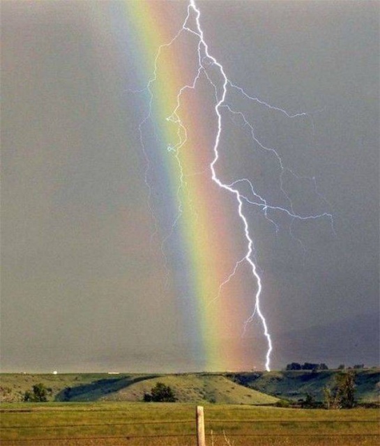 Яркие фотографии вместо тысячи слов