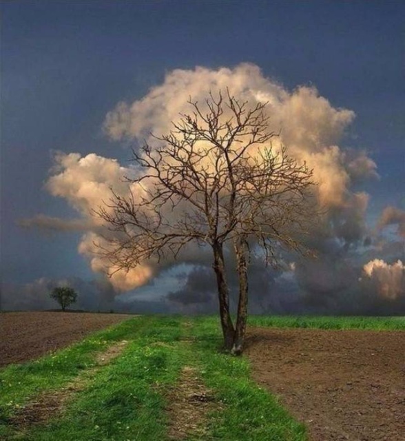 Яркие фотографии вместо тысячи слов