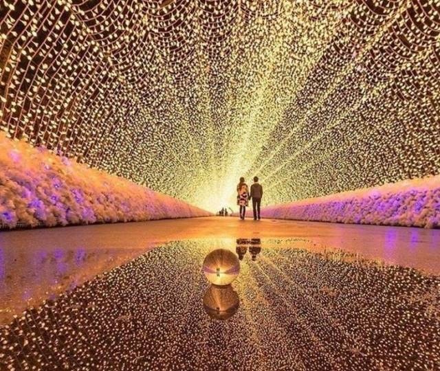 Яркие фотографии вместо тысячи слов