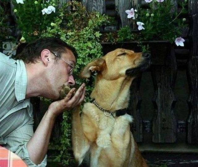 Яркие фотографии вместо тысячи слов