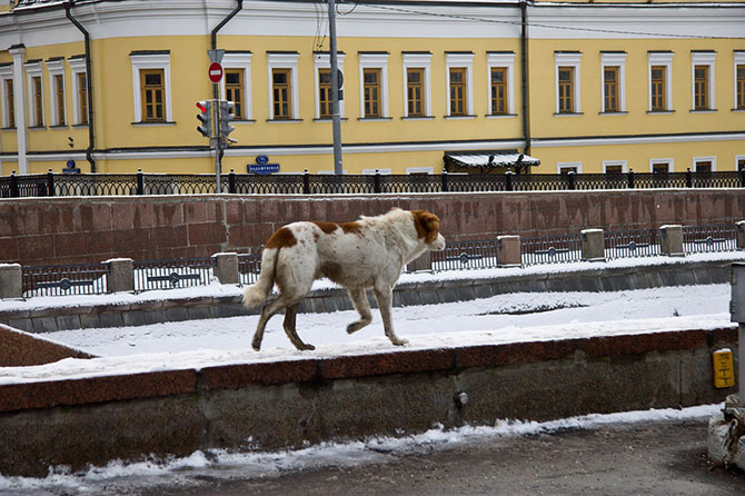 Утро 1 января в Москве (20 фото)
