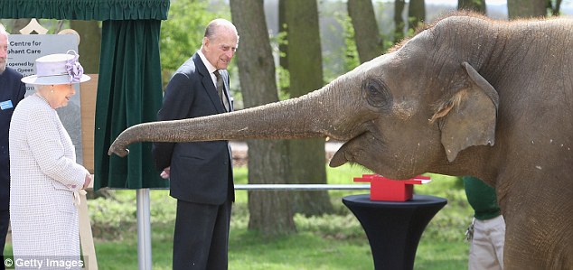 Снимки британской королевской семьи от фотографа Криса Джексона за прошедший год Снимки британской королевской семьи от фотографа Криса Джексона за прошедший год