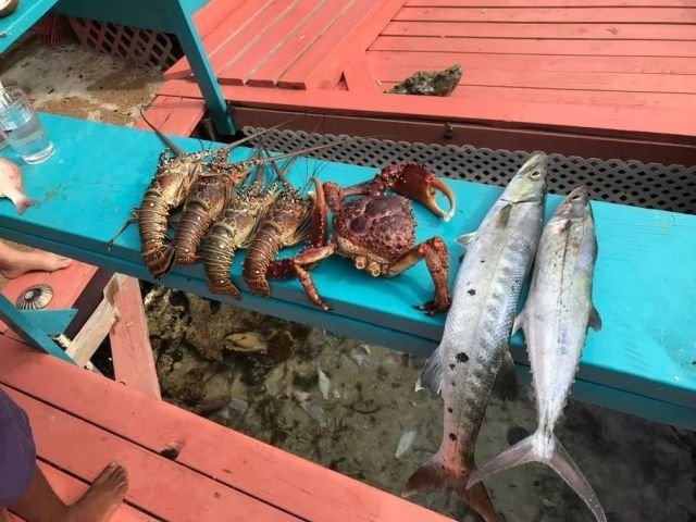 Остров в Карибском море под сдачу