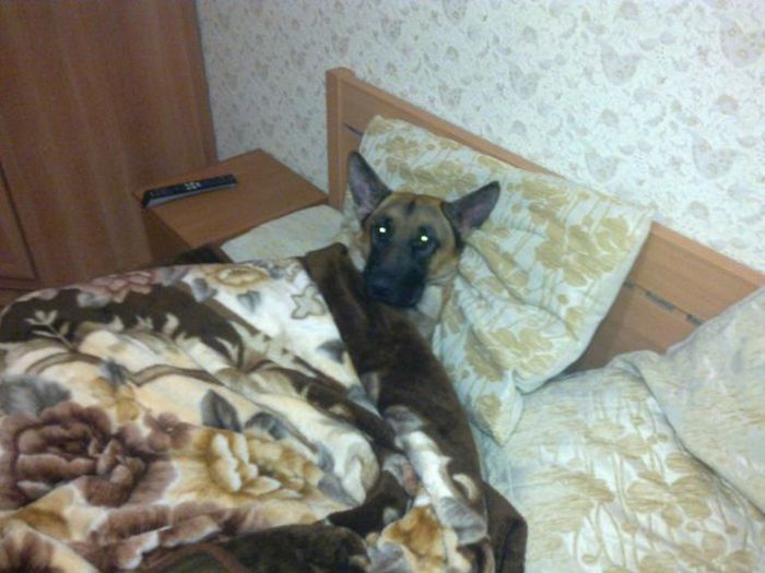 Прикольные картинки (90 фото)