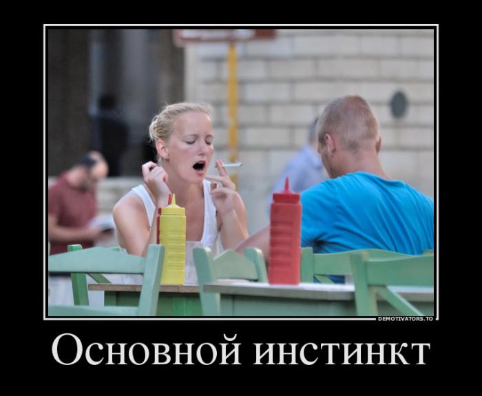 Демотиваторы (59 фото)