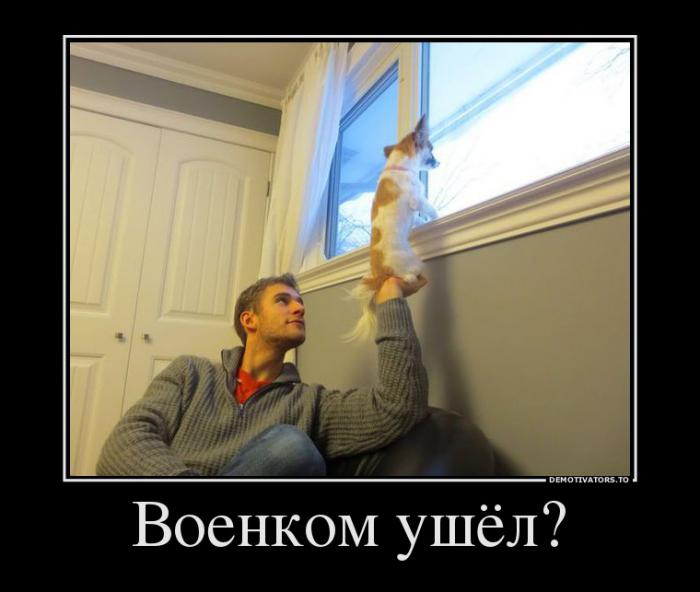Демотиваторы (59 фото)
