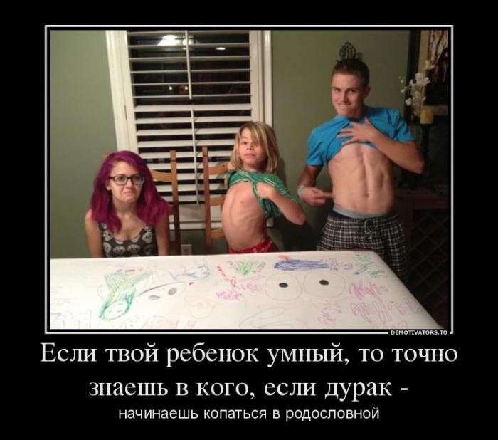 Демотиваторы (59 фото)