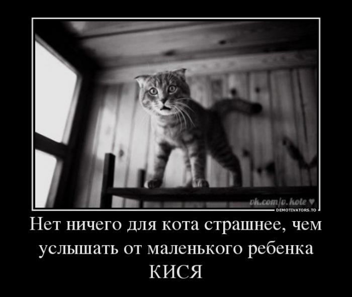 Демотиваторы (59 фото)