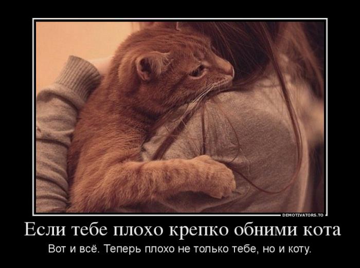 Демотиваторы (59 фото)