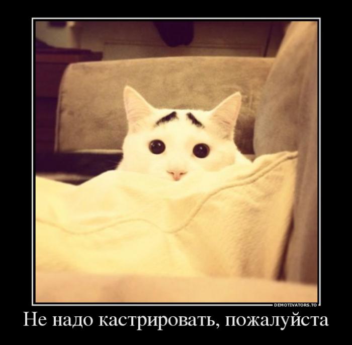 Демотиваторы (59 фото)