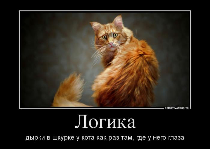 Демотиваторы (59 фото)