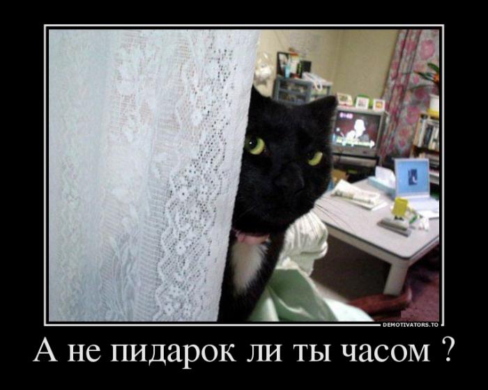 Демотиваторы (59 фото)