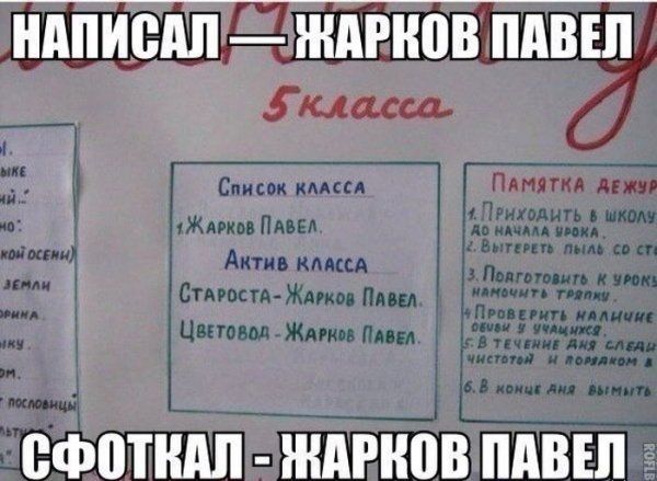 Прикольные картинки
